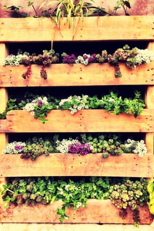 A wooden pallet vertical garden