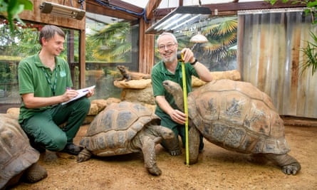 A huge undertaking': Bristol zoo faces challenge of rehoming 25,000 animals  | Zoos | The Guardian
