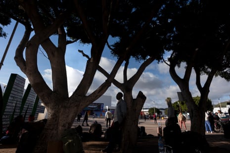 رجل من هايتي ينتظر تحت شجرة