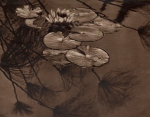 Riso Itano, Water Lily #3, ca. 1929 Due to the tremendous loss of material and documentation from the era, the contributions of Japanese Americans to the development of art photography in the U.S. were vastly underestimated in early histories. In recent decades, devoted research by individuals such the writer, collector, and curator Dennis Reed have made immense contributions to improving our understanding of this previously neglected period.