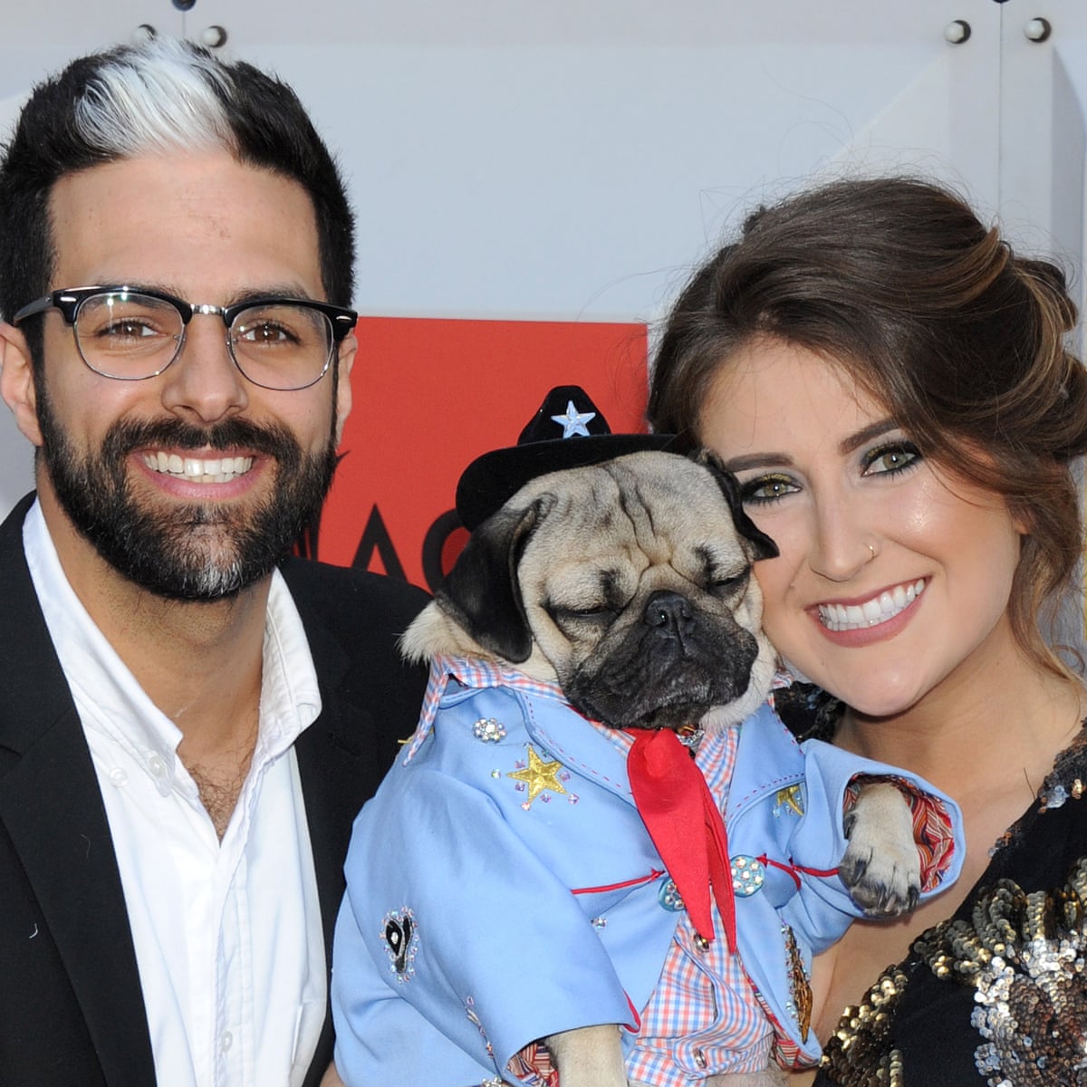 Problems From Head To Tail Craze For Pedigree Pugs Raises