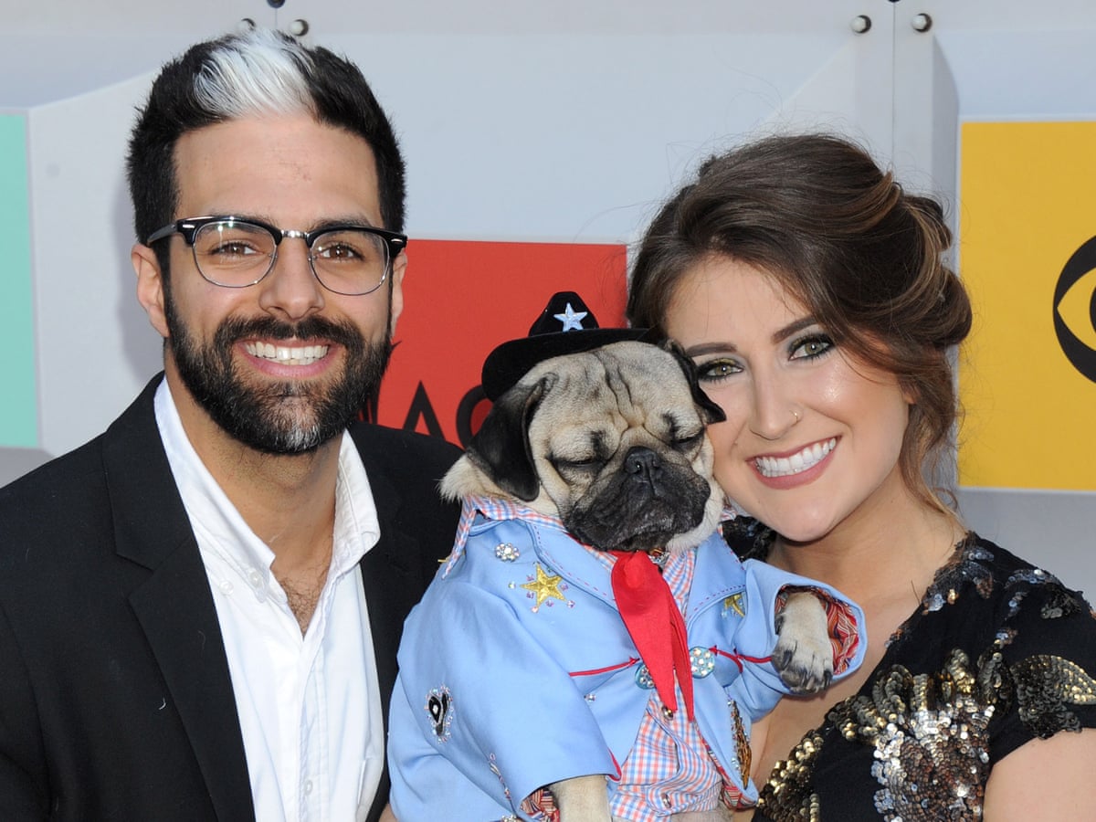Problems From Head To Tail Craze For Pedigree Pugs Raises