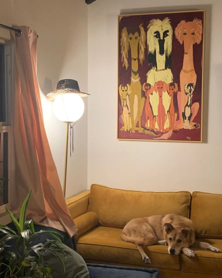Il misterioso dipinto di Stasey di (quello che lei pensa sia) una famiglia di levrieri afghani, insieme al suo stesso segugio.