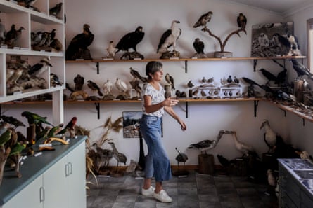 Marion Patterson in a room full of stuffed birds