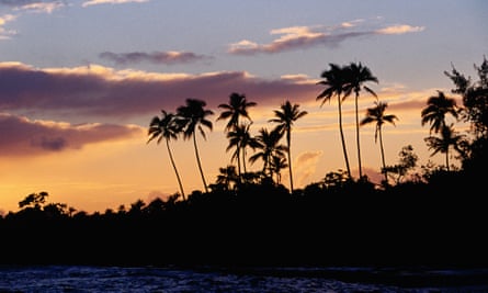 Palm trees silhouetted at sunset on Tanna Island, Tafea, Vanuatu.