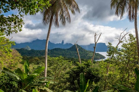 A view across a hilly coastline covered in lush vegetation