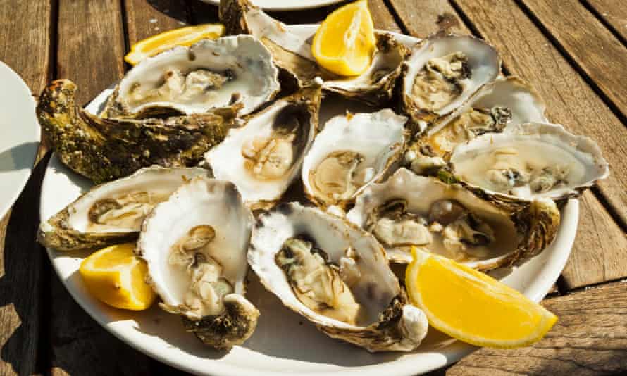 Menai oysters taste sweetly of the summer algae they feed on