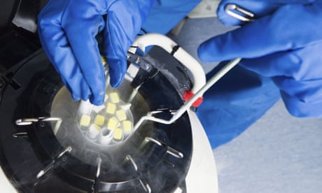 Alabama supreme court declines to revisit frozen embryos ruling Gloved hands manipulate a liquid nitrogen-filled tank container human embryos.