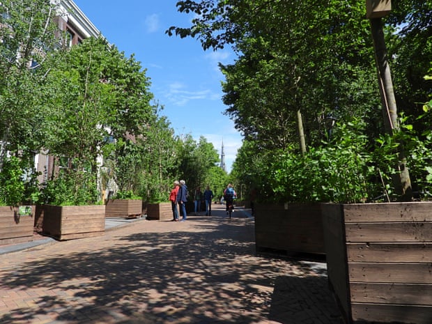 Pedestrians stop to admire the trees along the Tweebaksmarkt in downtown Leeuwarden