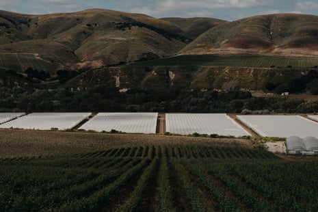 rolling hills with greenhouses at the bottom