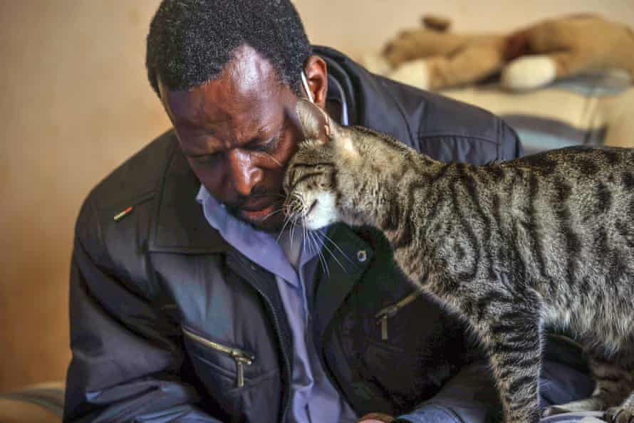 Minwar, Err’s cat, welcomes him home after a day rescuing stray animals.