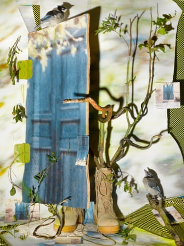 Plants growing out of boots against a green-and-white background