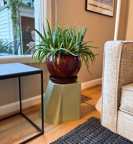 un taburete Mini Arnoldino sosteniendo una planta