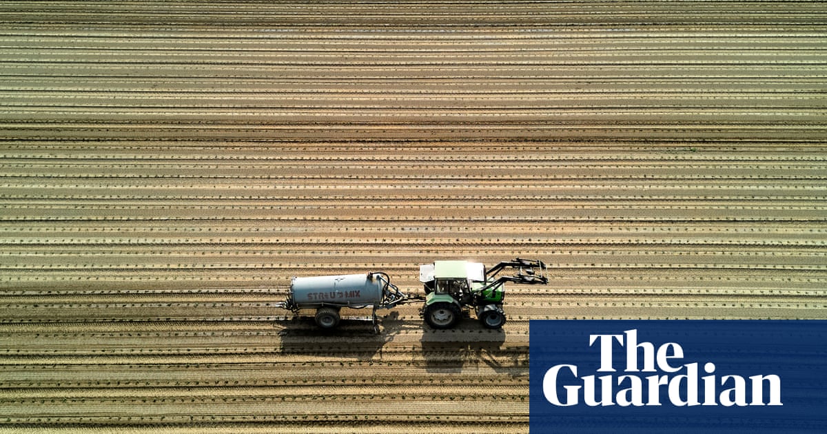 It's a critical time': European farmers struggle through driest spring in a century