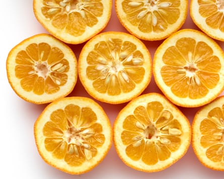 Step2 - Felicity Cloake marmalade masterclass