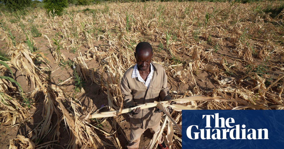 Zimbabwean president declares state of disaster due to drought | Zimbabwe