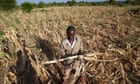 Zimbabwean president declares state of disaster due to drought