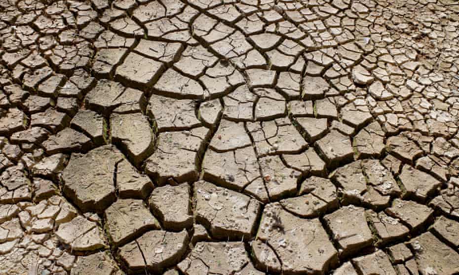 A new climate forecast predicts annual global temperatures are likely to be at least 1C above pre-industrial levels in each year between 2020 and 2024, leading to more extreme weather such as droughts. 
