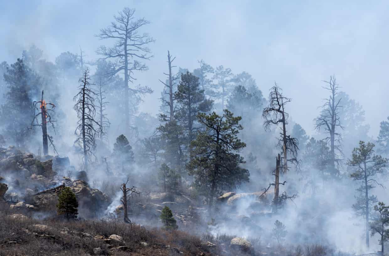‘Turning the dial up’: US south-west braces for extended wildfire season amid drastic drought