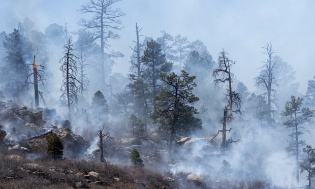 More than 1,000 firefighters battle 150 square mile wildfire in New Mexico  | Wildfires | The Guardian