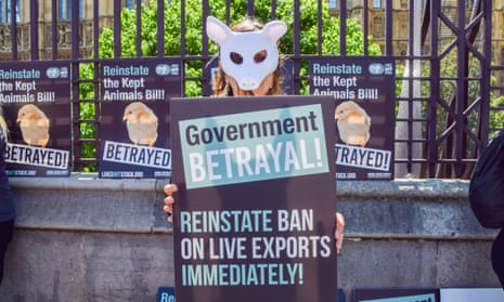 Protests in support of the kept animals bill in London earlier this month.