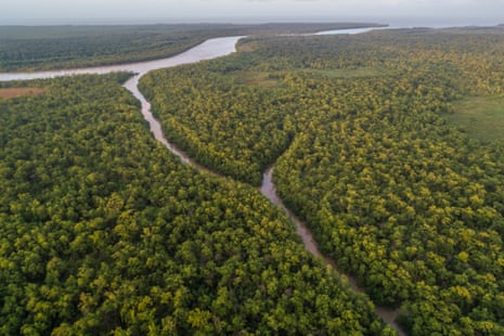 An aerial shot of Igarapé Cobra and Hell’s Canal on the island nature reserve of Maracá-Jipioca Ecological Station, Amapa, Brazil.