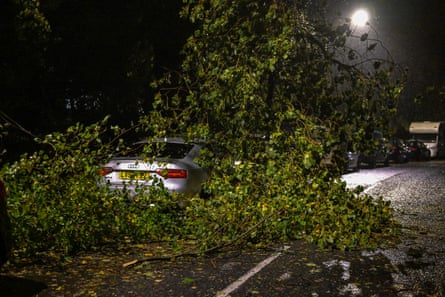 Car surrounded by fallen branches