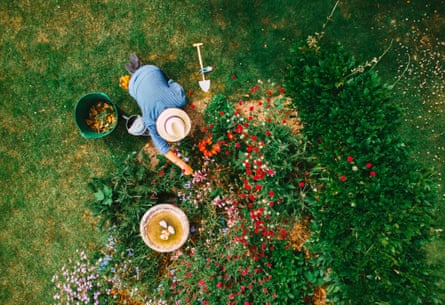An aerial view of someone gardening.