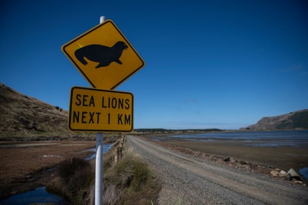 Signs on the road to Arlands Beach in Portobello on the Otago Peninsula in Dunedin, New Zealand