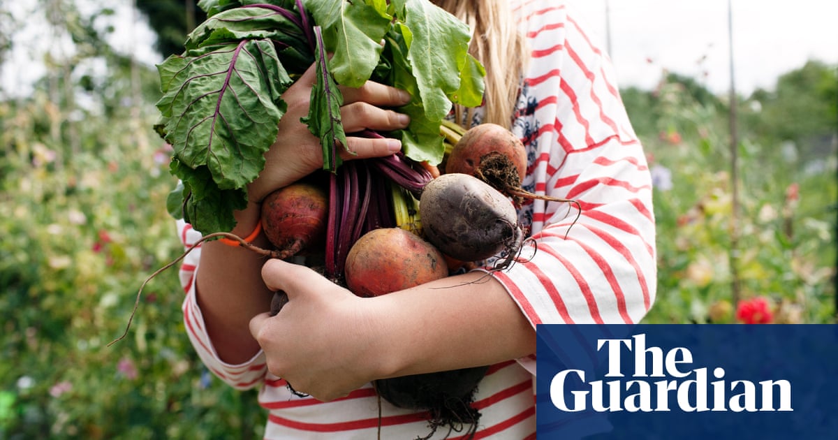 American Farmers Are Struggling To Feed The Country S Appetite For Organic Food Guardian Sustainable Business The Guardian American Farmers Are Struggling To Feed The Country S Appetite For Organic Food Guardian Sustainable Business The Guardian