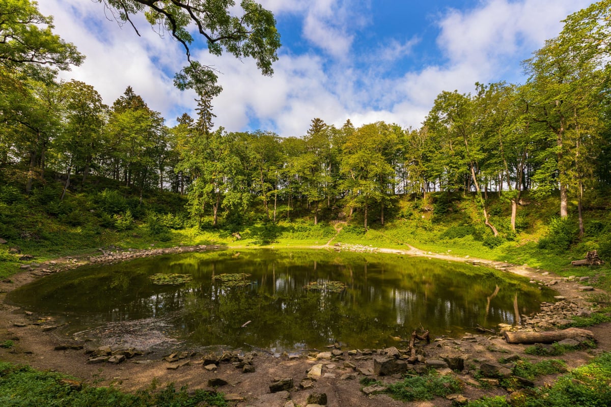 Old crater filled by lake and surrounded by trees