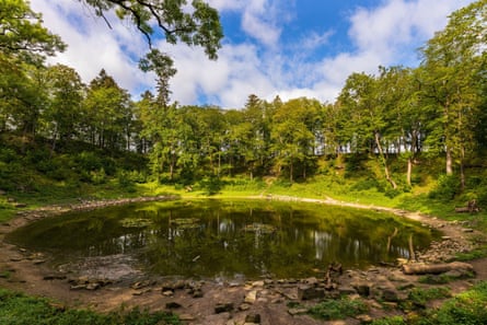 Old crater filled by lake and surrounded by trees