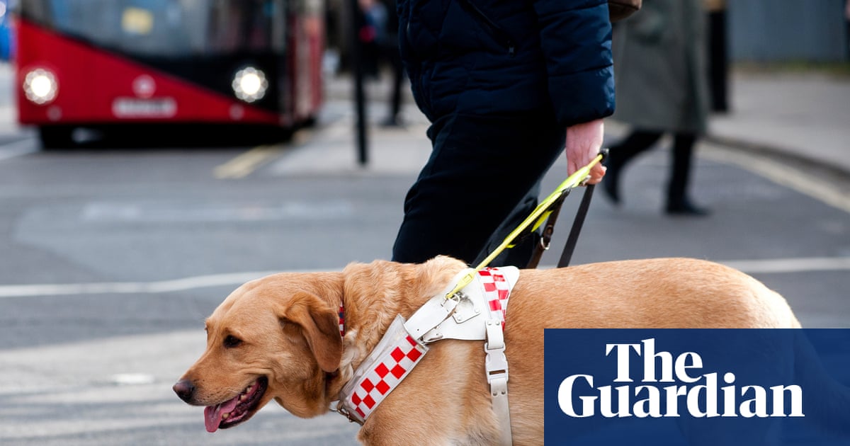 Guide dog owners face everyday ignorance | Letter