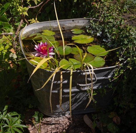 Even an old bucket will do