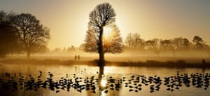 Birds stand on the frozen surface of a body of water as the sun rises over in Bushy park in London, England