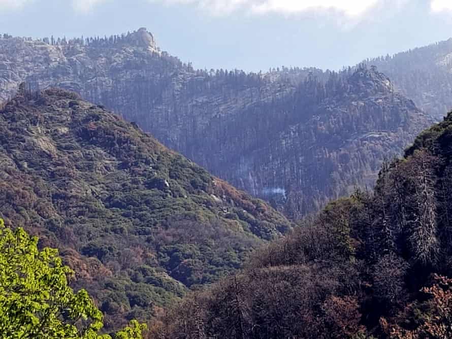 landscape shows smoke rising from trees