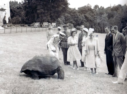 Members of the royal family, including King George VI, Queen Elizabeth II (then known as Princess Elizabeth), Princess Margaret, and the Queen Mother (the then Queen Elizabeth) on Saint Helena, meeting Jonathan in 1947