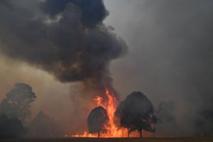 Smoke and flames rise from burning trees as bushfires approach Nowra.