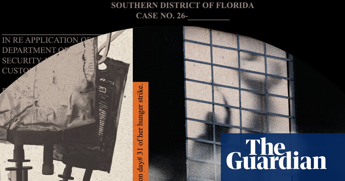 ‘What they’re doing qualifies as torture’: new details of ICE force-feeding revealed