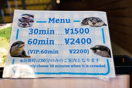 A menu featuring pictures of otters, showing that 30 minutes is 1500 yen and 60 minutes is 2400 yen