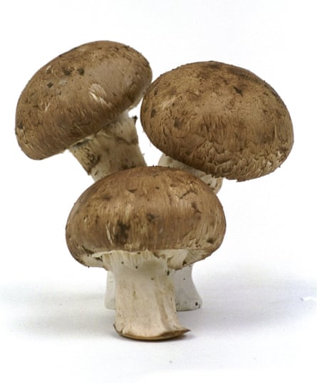 ‘White crimini mushrooms ever in their bin at the salad bar …’
