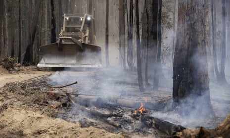 A bulldozer among burnt trees