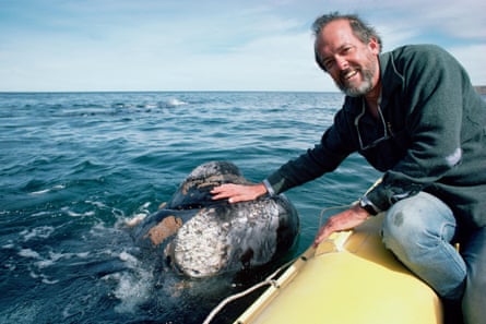 Roger Payne pets whale, Peninsula Valdez, Argentina