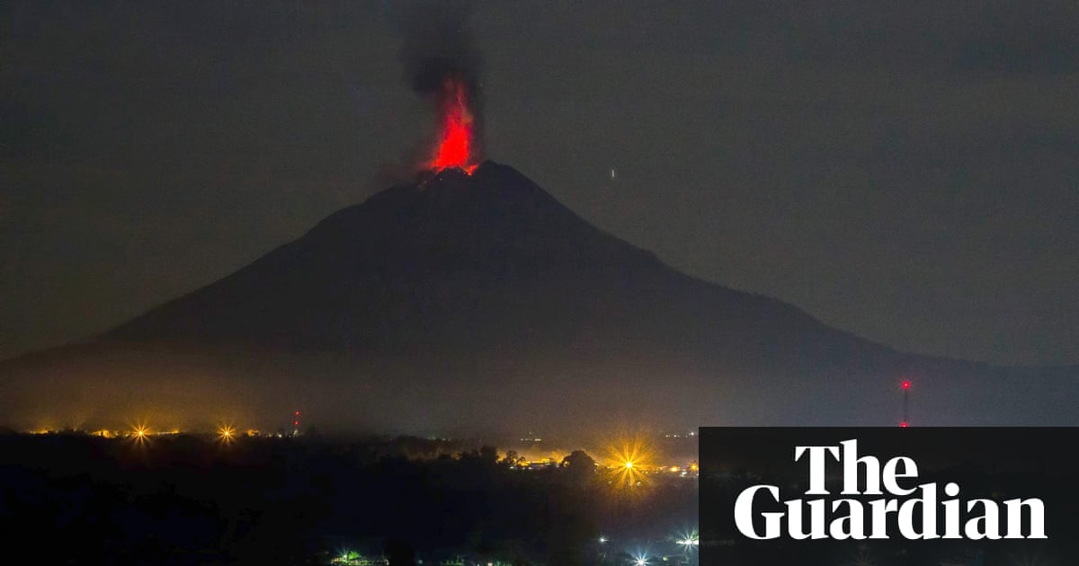 Best photos of the day: hungry storks and a new job | News | The Guardian