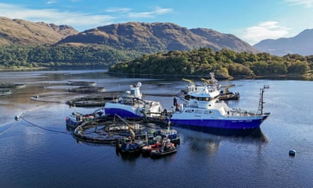 Mowi Scotland vessels servicing its salmon farm in Loch Etive, 2023.