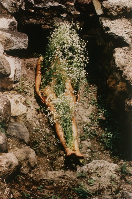 A woman lying on rocks covered in bush and flowers