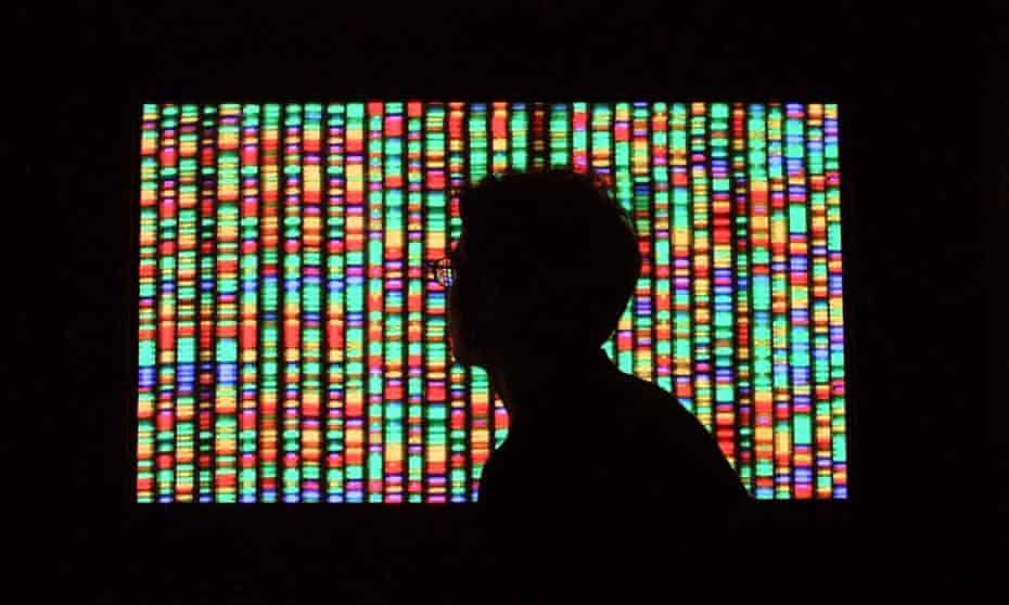 A digital representation of the human genome. Using the DNA collected in the UK10K project, four rare risk factors for heart disease and obesity were discovered.