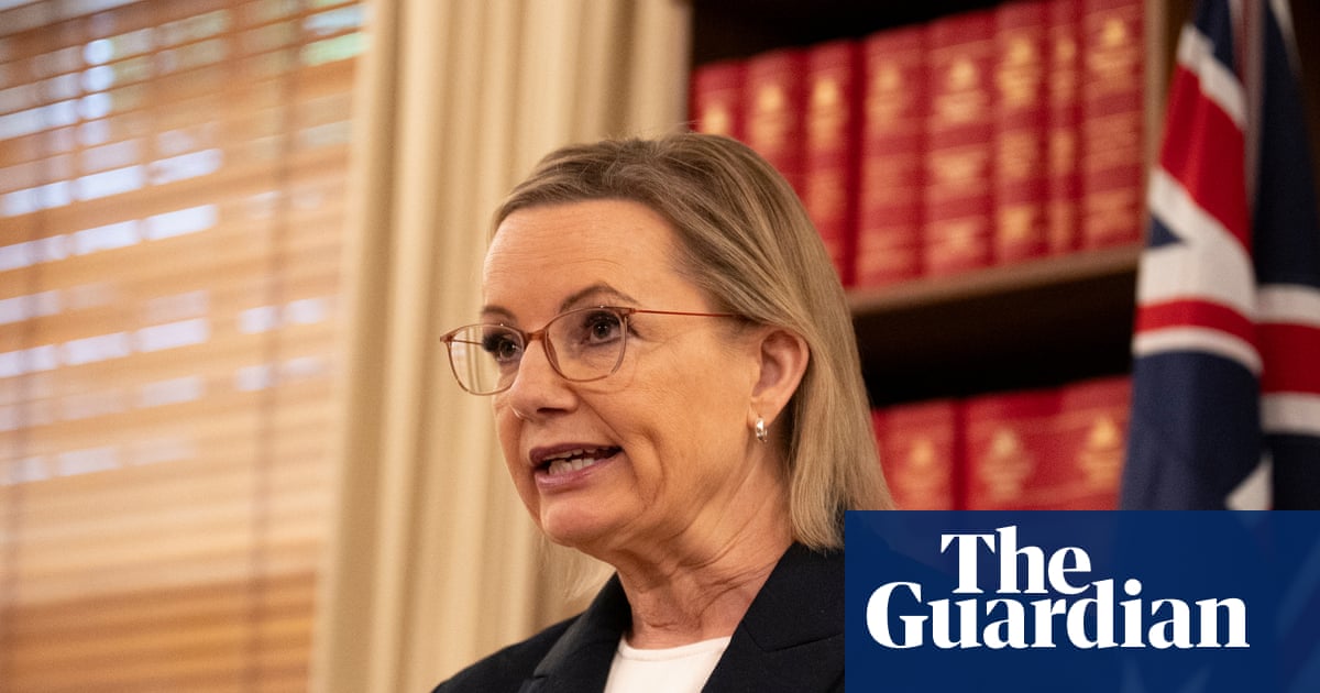 Sussan Ley has two factors working in her favour as rumours of a Liberal leadership mutiny swirl