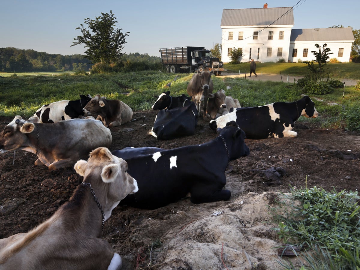 Biosolids Mix Human Waste With Toxic Chemicals Then Spread On Crops Environment The Guardian