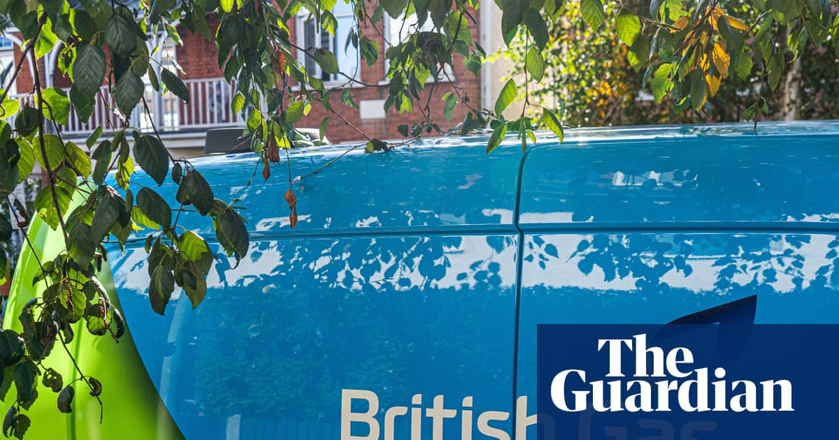 British Gas owner pauses share buyback as profits plummet